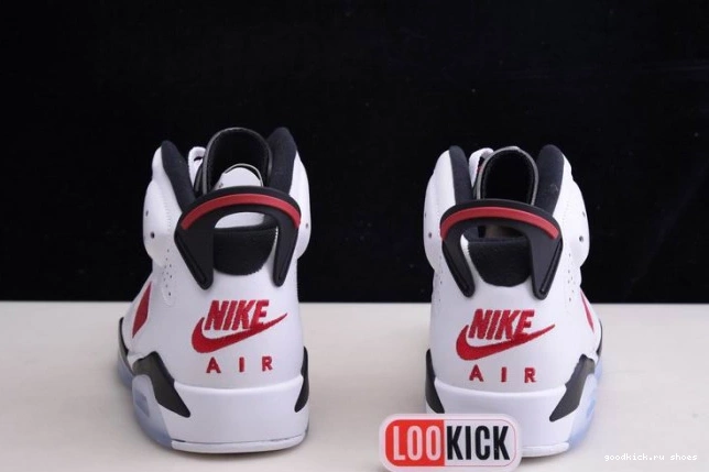 Rep 6 'CARMINE' JORDAN RETRO CT8529-106 2021 AIR 0825